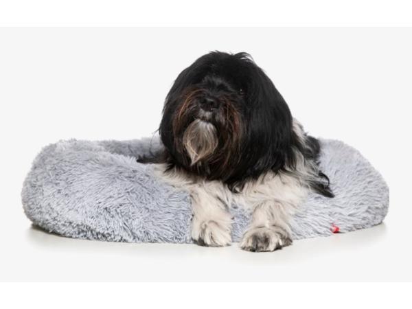 Veiling - Snoozle Donut Hondenmand | Wasbaar | 70cm, Dieren en Toebehoren, Hondenmanden, Nieuw