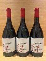 2014 Philippe Pacalet - Pommard - 3 Flessen (0.75 liter), Verzamelen, Wijnen, Nieuw