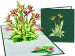 Strelitzia Bloem Paradijsvogelplant Vogelkopbloem Pop-up ..., Verzenden, Nieuw