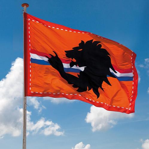 1x Reuze oranje Holland vlag 2 bij 3 meter - Oranje straat.., Hobby en Vrije tijd, Feestartikelen, Ophalen of Verzenden