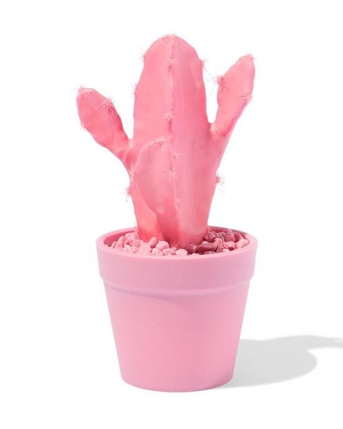 HEMA Kunstplant cactus roze, Huis en Inrichting, Kamerplanten, Verzenden