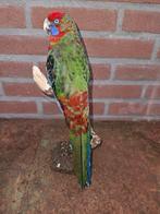 Pennant rosella parkiet Taxidermie volledige montage -, Verzamelen, Dierenverzamelingen, Nieuw