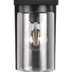 LED Tuinverlichting - Buitenlamp - Trion Dila - Wand - Mat, Nieuw, Ophalen of Verzenden, Hanglamp, Led