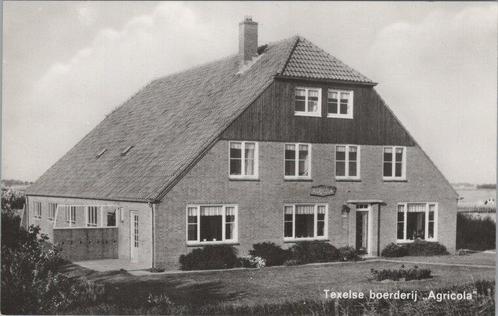 TEXEL - Texelsche boerderij Agricola, Verzamelen, Ansichtkaarten | Nederland, Verzenden