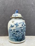dekselvaas - Porselein - China - Chinese porcelain birds, Antiek en Kunst