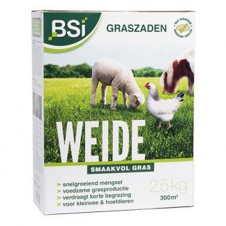 Graszaad weide | BSI | 300 m² (Aanleg, Snel kiemend, 2.5 kg), Tuin en Terras, Gras en Kunstgras, Nieuw, Verzenden