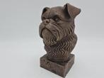 Bust of a brussels griffon dog statue - home decor dog lover, Verzenden, Nieuw