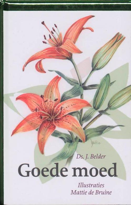 Goede moed 9789058299109 J. Belder, Boeken, Godsdienst en Theologie, Zo goed als nieuw, Verzenden
