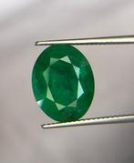 1 pcs Groen Smaragd - 7.62 ct - International Gemological, Nieuw