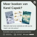 Prenten van Holland / Moldaviet / 7 9789078068242, Verzenden, Gelezen, Karel Capek