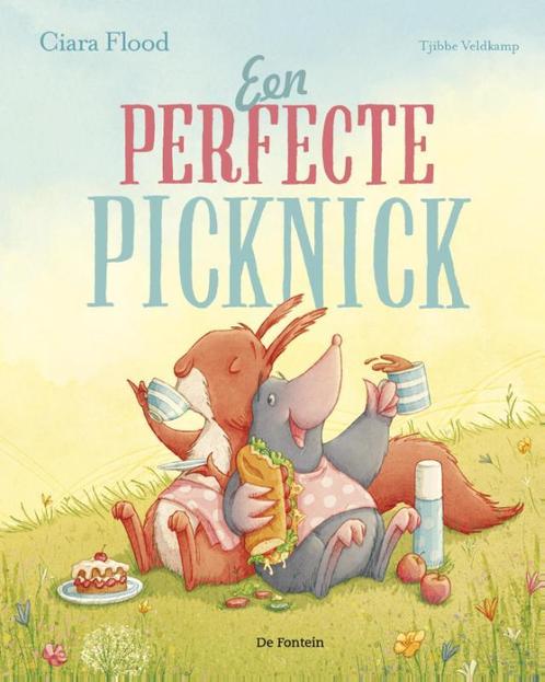 Een perfecte picknick 9789026140297 Ciara Flood, Boeken, Kinderboeken | Kleuters, Zo goed als nieuw, Verzenden