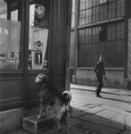 Robert Doisneau (1912–1994) - XII arrondissement, Paris,