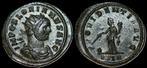 Florian ad 276 Antoninianus 25mm, 4 28 g Rome, Verzenden