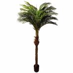 Kunstplant | HAWAII PALM | Groen | Indoor | 2000/2500(h)mm, Verzenden, Nieuw in verpakking