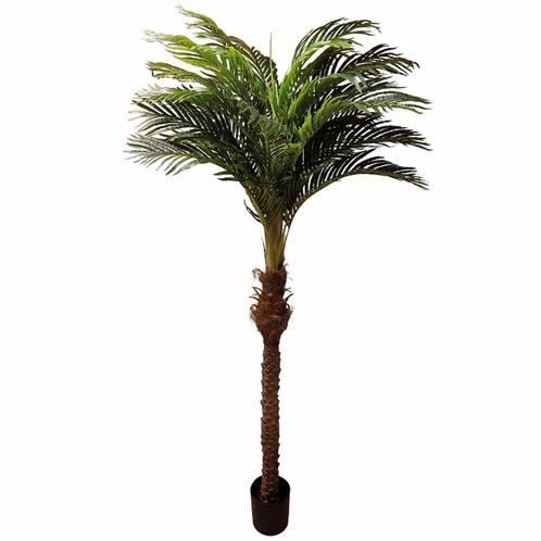 Kunstplant | HAWAII PALM | Groen | Indoor | 2000/2500(h)mm, Zakelijke goederen, Horeca | Keukenapparatuur, Nieuw in verpakking