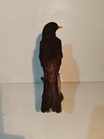 Merel Taxidermie volledige montage - Turdus merula - 30 cm -, Nieuw