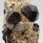 ALMANDINO, GRANAAT ZWART en ROOD, MADAGASCAR Kristallen op