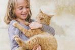 Kat adopteren /  IDEALE MATCH  / tweedekans katten