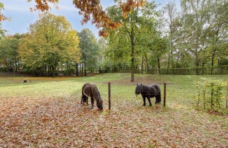 Appartement te huur aan Oudvensestraat in Mierlo, Huizen en Kamers, Huizen te huur, Noord-Brabant