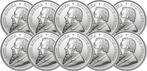 10 troy ounce - Zilver .999 - Krugerrand 2025 - 311 gram -