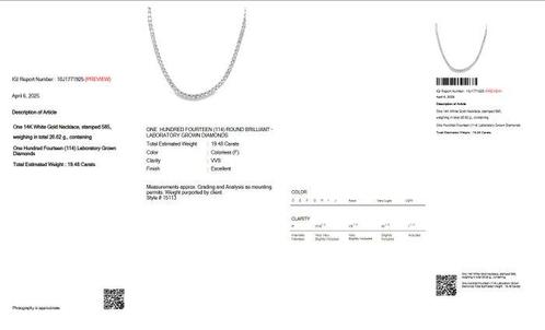 Halsketting - 14 karaat Witgoud - 19.48ct. tw. Diamant, Sieraden, Tassen en Uiterlijk, Kettingen