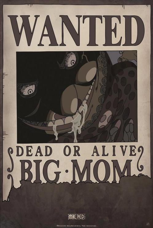 Poster One Piece Wanted Big Mom I 35x52cm, Verzamelen, Posters, Nieuw, A1 t/m A3, Verzenden