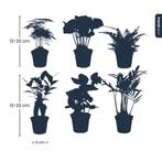 Planten set - Groen - 6 groene planten - potmaat 6, Verzenden
