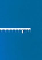 Marcus Cederberg - Lonely sail