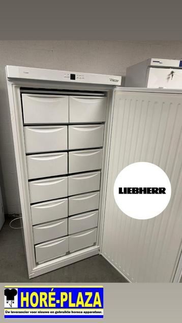Horeca vrieskast Liebherr – Topkwaliteit (Lichtgebruikt) beschikbaar voor biedingen