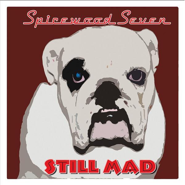 cd digi - Spicewood Seven - Still Mad, Cd's en Dvd's, Cd's | Rock, Zo goed als nieuw, Verzenden