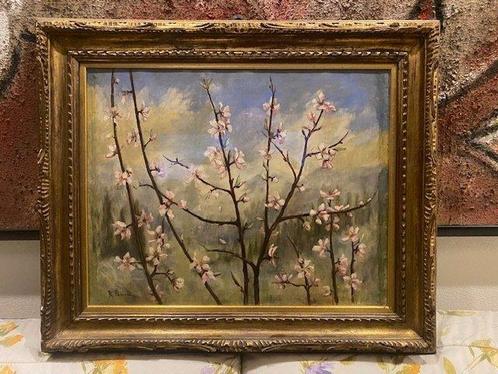 Ruggero Panerai (1862-1923), Toegeschreven aan - Fiori di, Antiek en Kunst, Kunst | Schilderijen | Klassiek