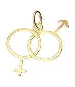Gouden Man-Vrouw teken ketting hanger, Verzenden, Nieuw