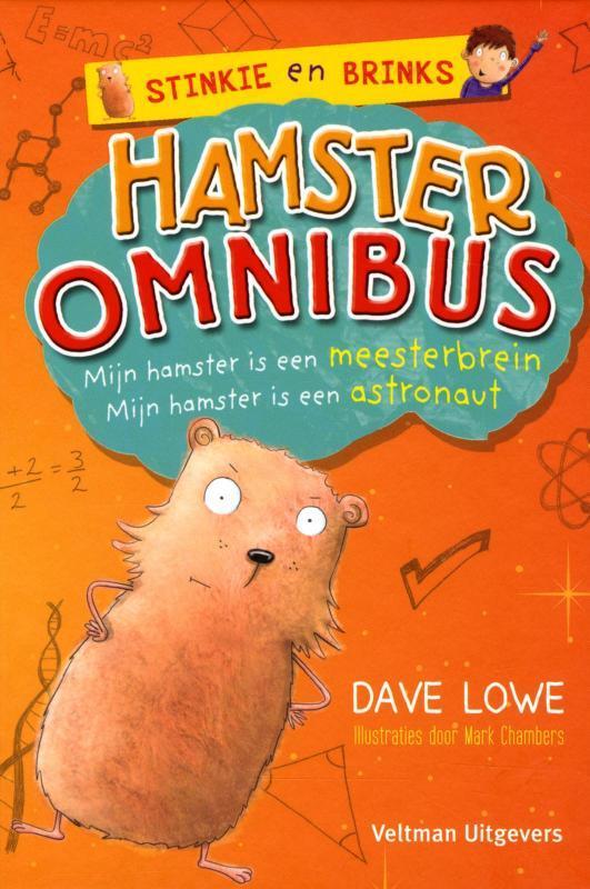Hamsteromnibus / Stinkie en Brinks 9789048313419 Dave Lowe, Boeken, Kinderboeken | Jeugd | onder 10 jaar, Gelezen, Verzenden