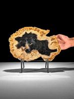 Indrukwekkende plak versteend hout op een op maat gemaakte