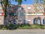 Huis Velijndonk in Maastricht, Overige soorten, Limburg