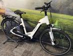 Pegasus Opero met Automatisch Schakelen en Riem-aandrijving, Fietsen en Brommers, Elektrische fietsen, Overige merken, Ophalen of Verzenden