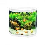 Ciano Aqua 30 LED | 25L | 40 x 20 x 45,5CM Wit Aquarium, Dieren en Toebehoren, Vissen | Aquaria en Toebehoren, Nieuw, Ophalen of Verzenden