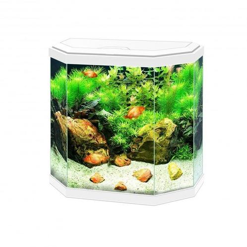 Ciano Aqua 30 LED | 25L | 40 x 20 x 45,5CM Wit Aquarium, Dieren en Toebehoren, Vissen | Aquaria en Toebehoren, Ophalen of Verzenden