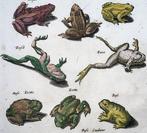 Matthäus Merian (1593-1650) - hand coloured folio:, Antiek en Kunst