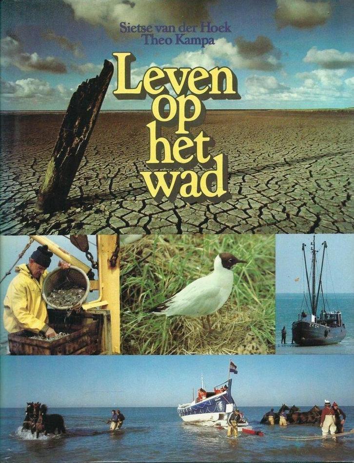Leven op het wad 9789022811177 Hoek, Boeken, Geschiedenis | Wereld, Gelezen, Verzenden