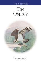 9781472919908 Poyser Monographs-The Osprey, Boeken, Verzenden, Nieuw, Tim Mackrill