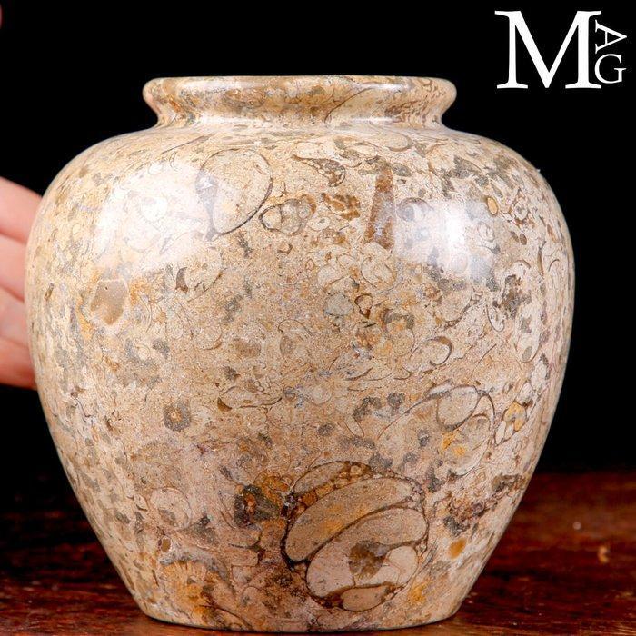 Fossiele sedimenten uit het Paleozoüm Vaso Ornamentale in, Verzamelen, Mineralen en Fossielen