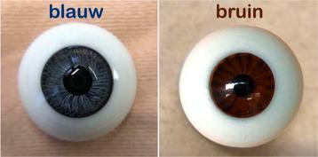 Poppenogen glas halfrond blauw of bruin 20 mm doorsnede beschikbaar voor biedingen