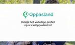 Marianne zoekt een oppas in Oegstgeest., Boeken, Nieuw