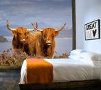 Vlies fotobehang Schotse koeien -  Dit fotobehang komt in