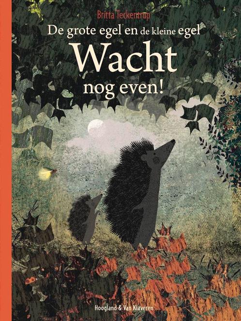 Wacht nog even! / De grote egel en de kleine egel, Boeken, Prentenboeken en Plaatjesalbums, Zo goed als nieuw, Verzenden