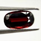 Zonder Minimumprijs - 1 pcs Rood Spinel - 1.62 ct - GEM-TECH, Nieuw