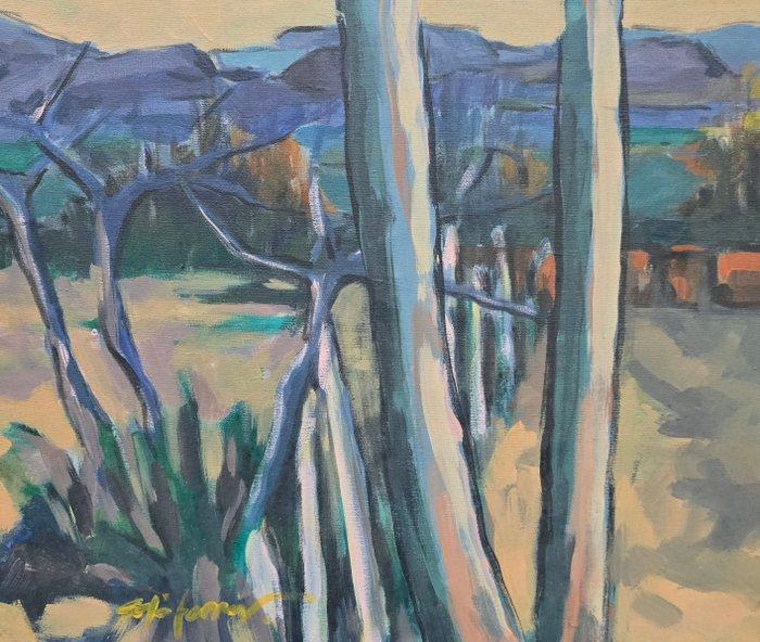 José Luis Solá Ferrer (1945) - NO RESERVE - Fleurs et calme, Antiek en Kunst, Kunst | Schilderijen | Klassiek