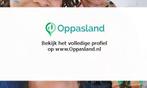 Jursica zoekt een oppas in Zwijndrecht voor 2 kinderen.