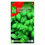 Basilicumzaad | VT (Genovese), Tuin en Terras, Bloembollen en Zaden, Verzenden